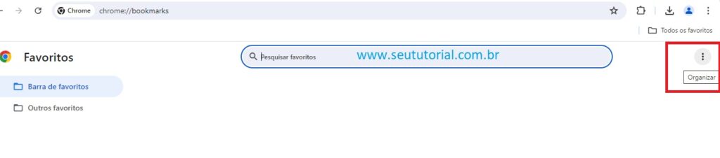 Organizar favoritos Google Chrome / Seu Tutorial