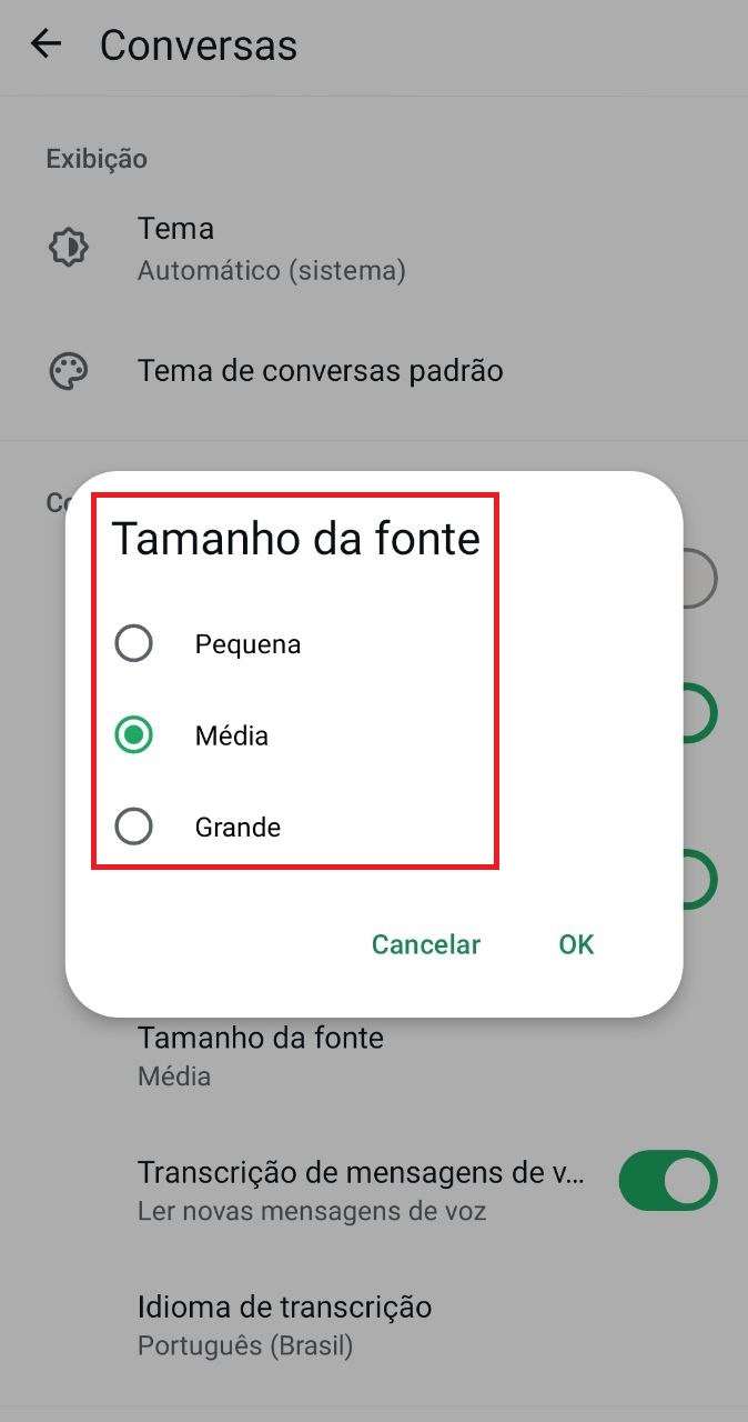 Como mudar tamanho da fonte no WhatsApp / Seu Tutorial