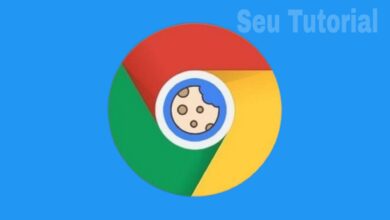 Como limpar cache e cookies no Google Chrome / Seu Tutorial