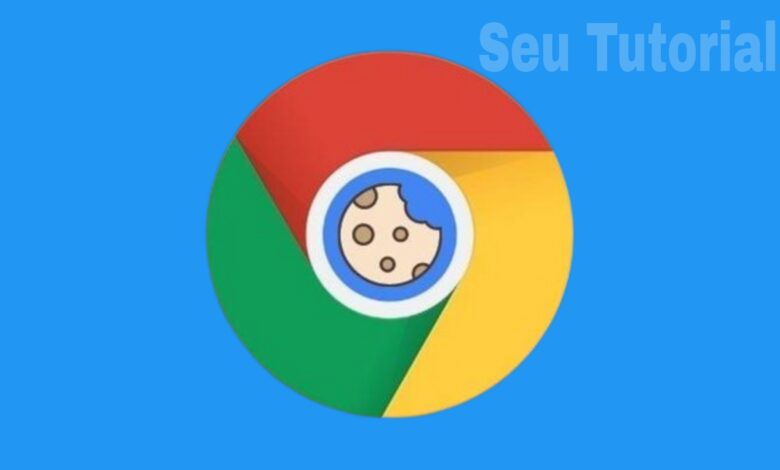 Como limpar cache e cookies no Google Chrome / Seu Tutorial