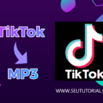 Como baixar apenas o áudio do TikTok / Seu Tutorial