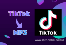 Como baixar apenas o áudio do TikTok / Seu Tutorial