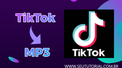 Como baixar apenas o áudio do TikTok / Seu Tutorial