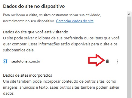 Limpar cookies e cache de apenas um site no Google Chrome / SEU TUTORIAL